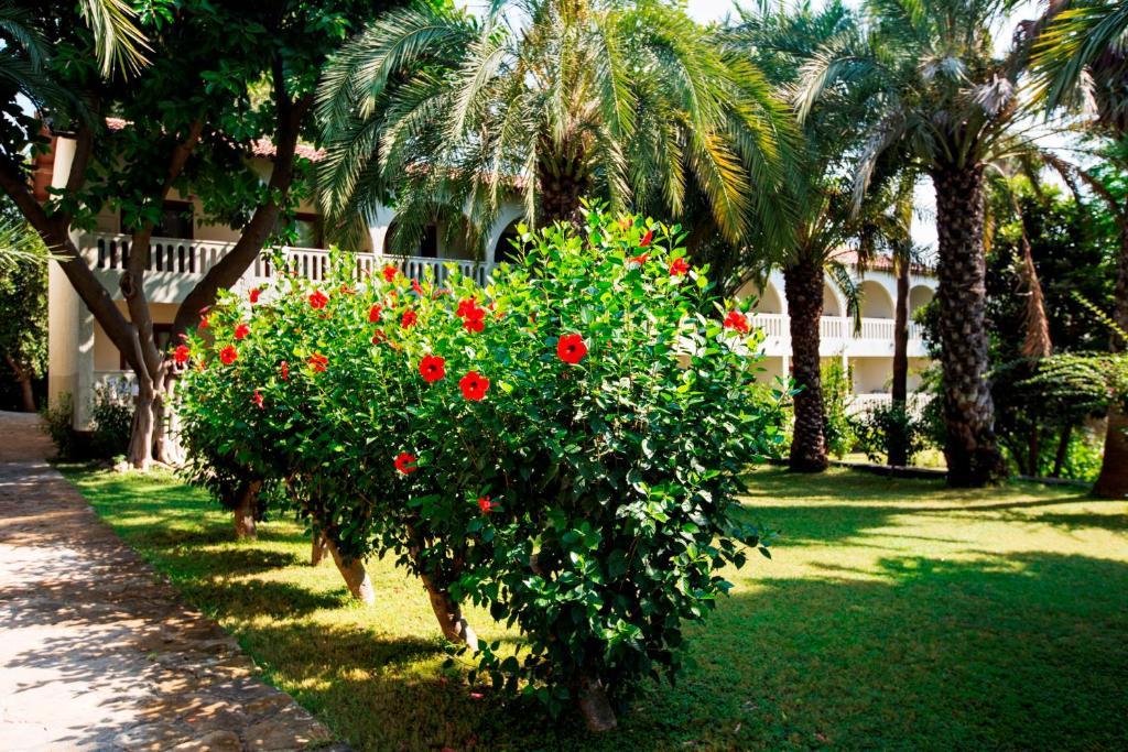 Miarosa İncekum Beach Alanya Zewnętrze zdjęcie